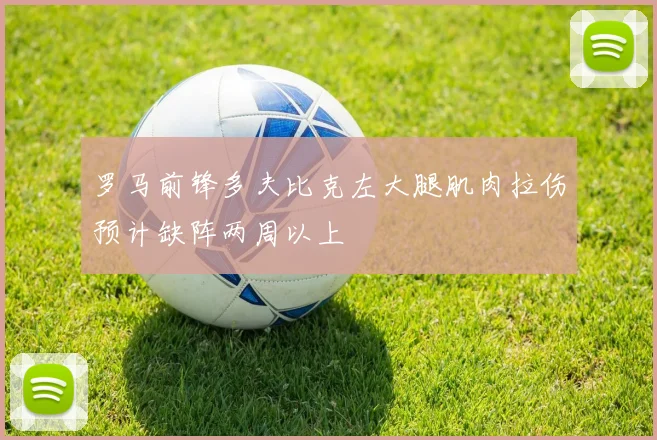 罗马前锋多夫比克左大腿肌肉拉伤预计缺阵两周以上